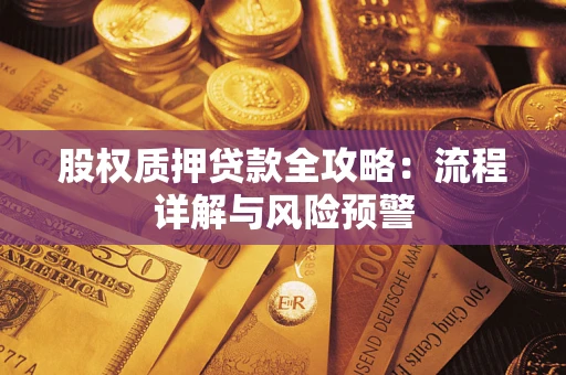 武汉股权质押贷款全攻略：流程详解与风险预警