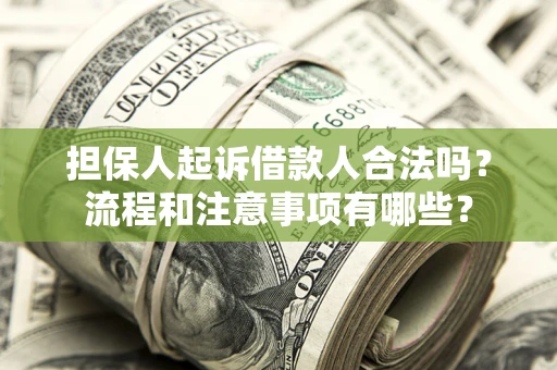 武汉担保人起诉借款人合法吗？流程和注意事项有哪些？