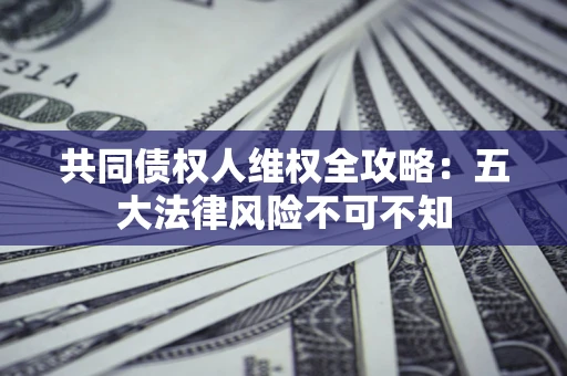 武汉共同债权人维权全攻略：五大法律风险不可不知