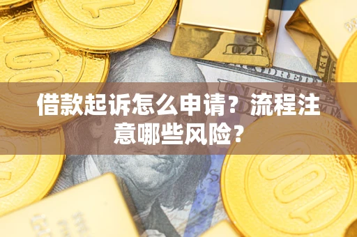 武汉借款起诉怎么申请？流程注意哪些风险？