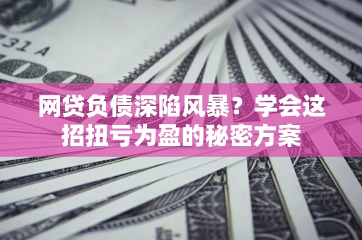 武汉网贷负债深陷风暴？学会这招扭亏为盈的秘密方案